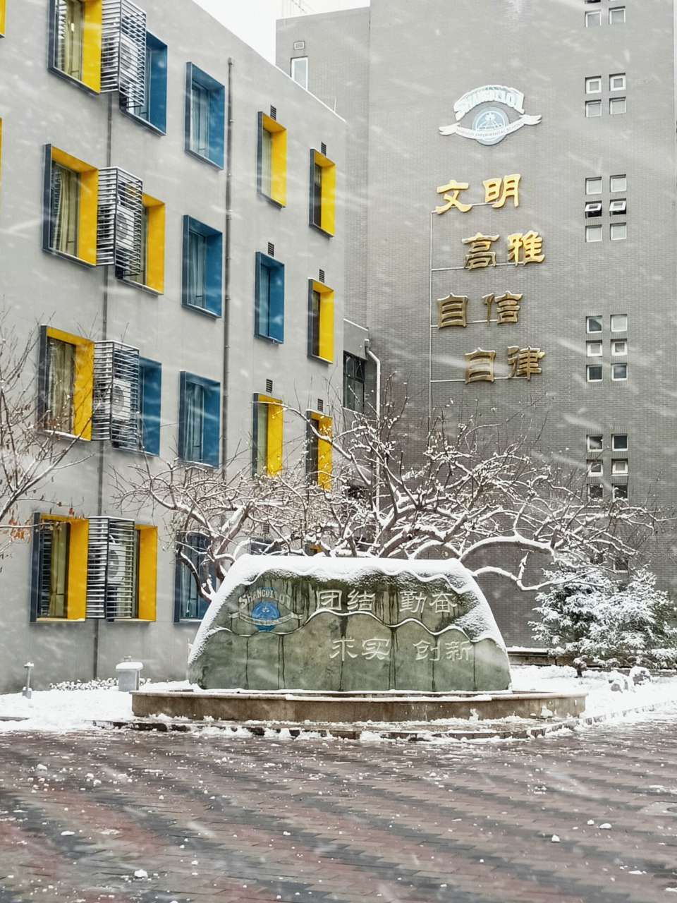 65f7b600a855c.jpg 冬雪.jpg