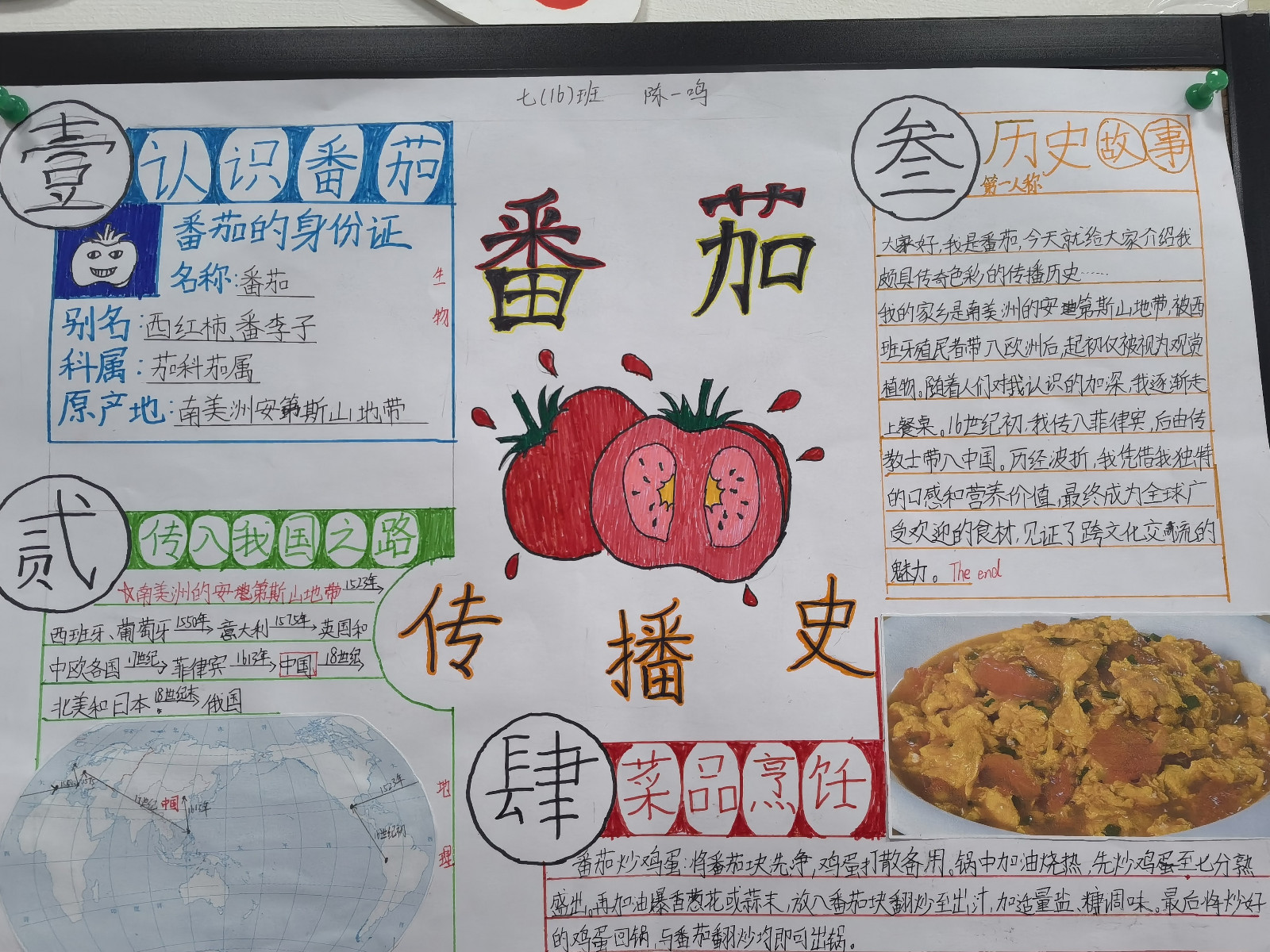 67d127961fc0d.jpg