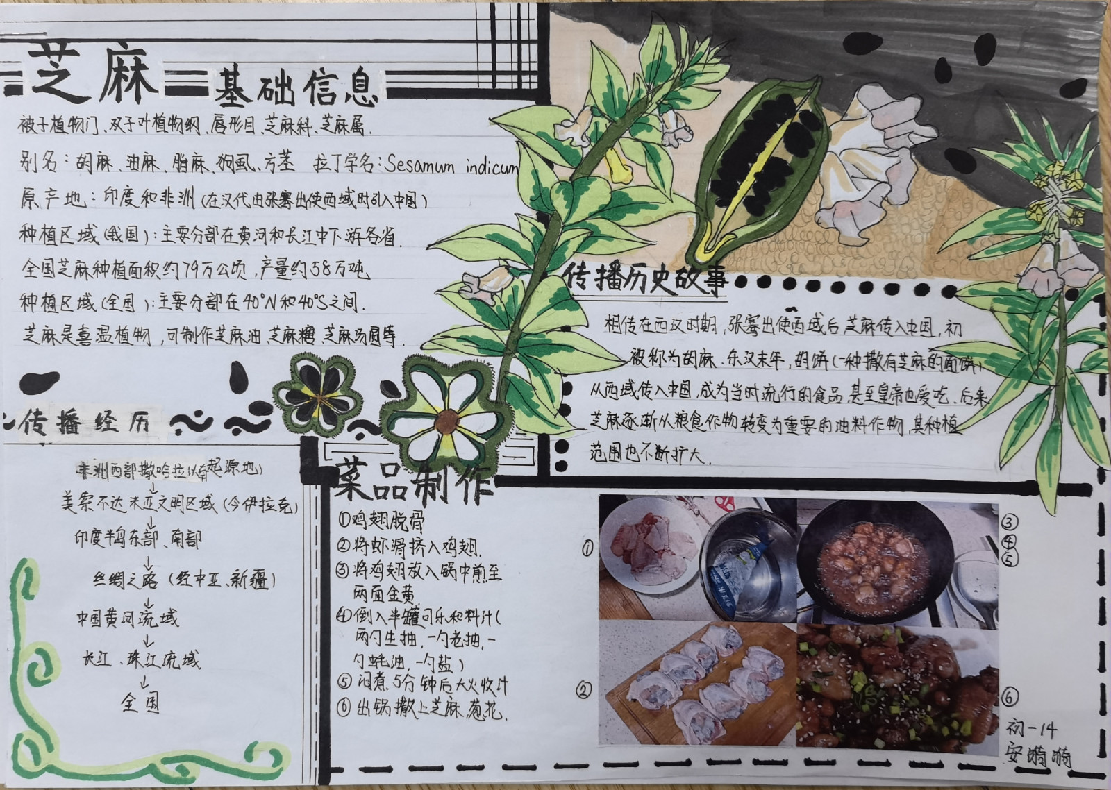 67d127aad235a.jpg